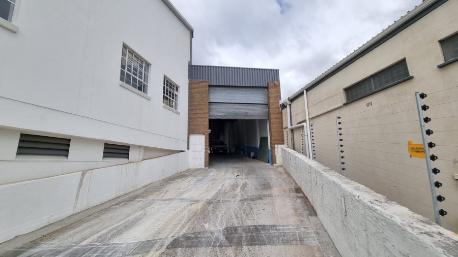 To Let commercial Property for Rent in Woodstock Western Cape